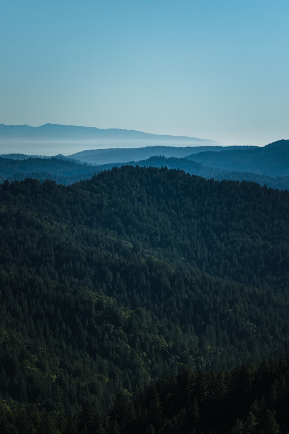 Layered blue ridgelines above the forest in the North Carolina High Country